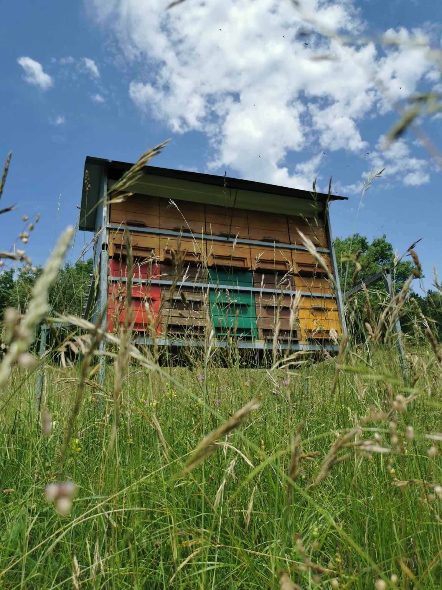 Farm Stay Pri Cepcovih Golac Kültér fotó